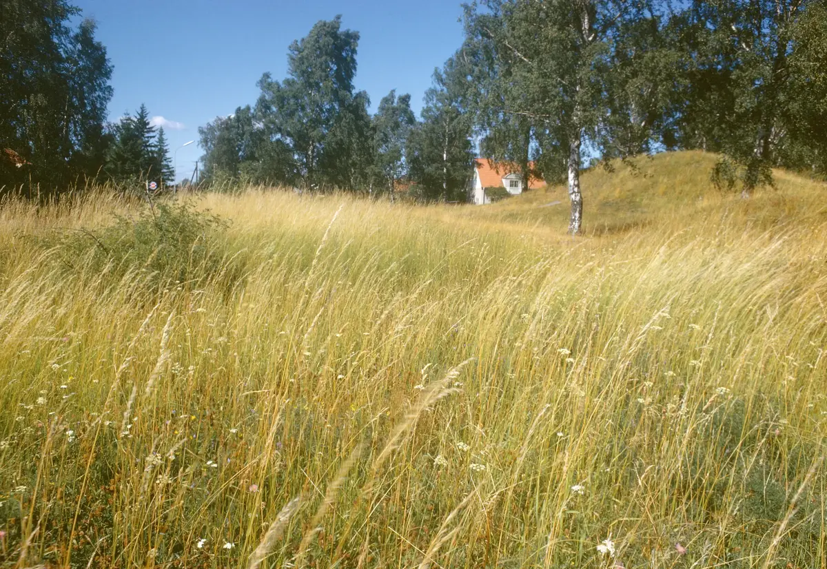 Sollentuna; Tureberg; "Kungshögarna"