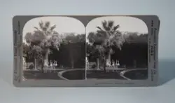 Samling med stereoskopiske foto