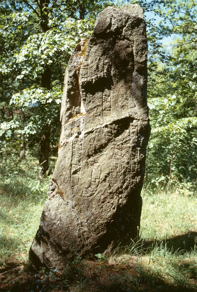Sollentuna; runsten U 105; vid Sollentunaholm.
"Sven och Kättilmund och Äringmund de läto resa denna sten efter Tidkume sin fader"