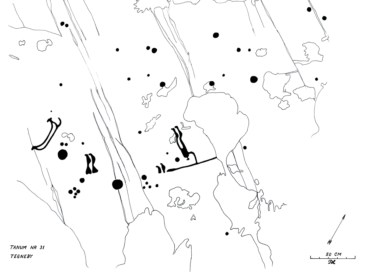 Hällristning Tegneby. Tanum 31:1, L1968:7348