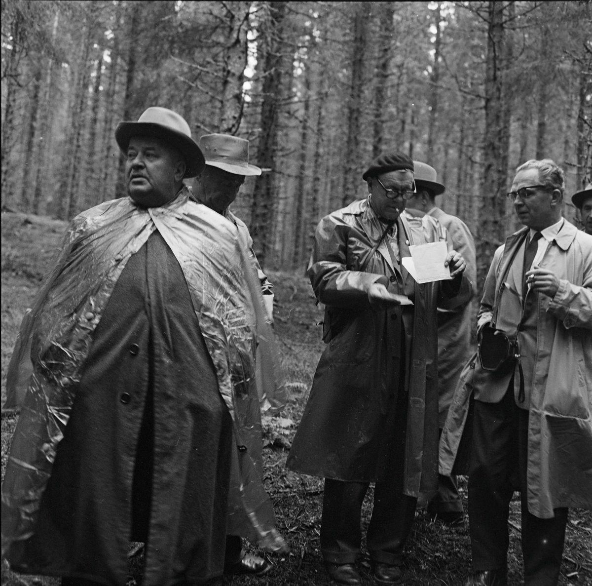 Nordiske skogeiere på befaring i Bymarka