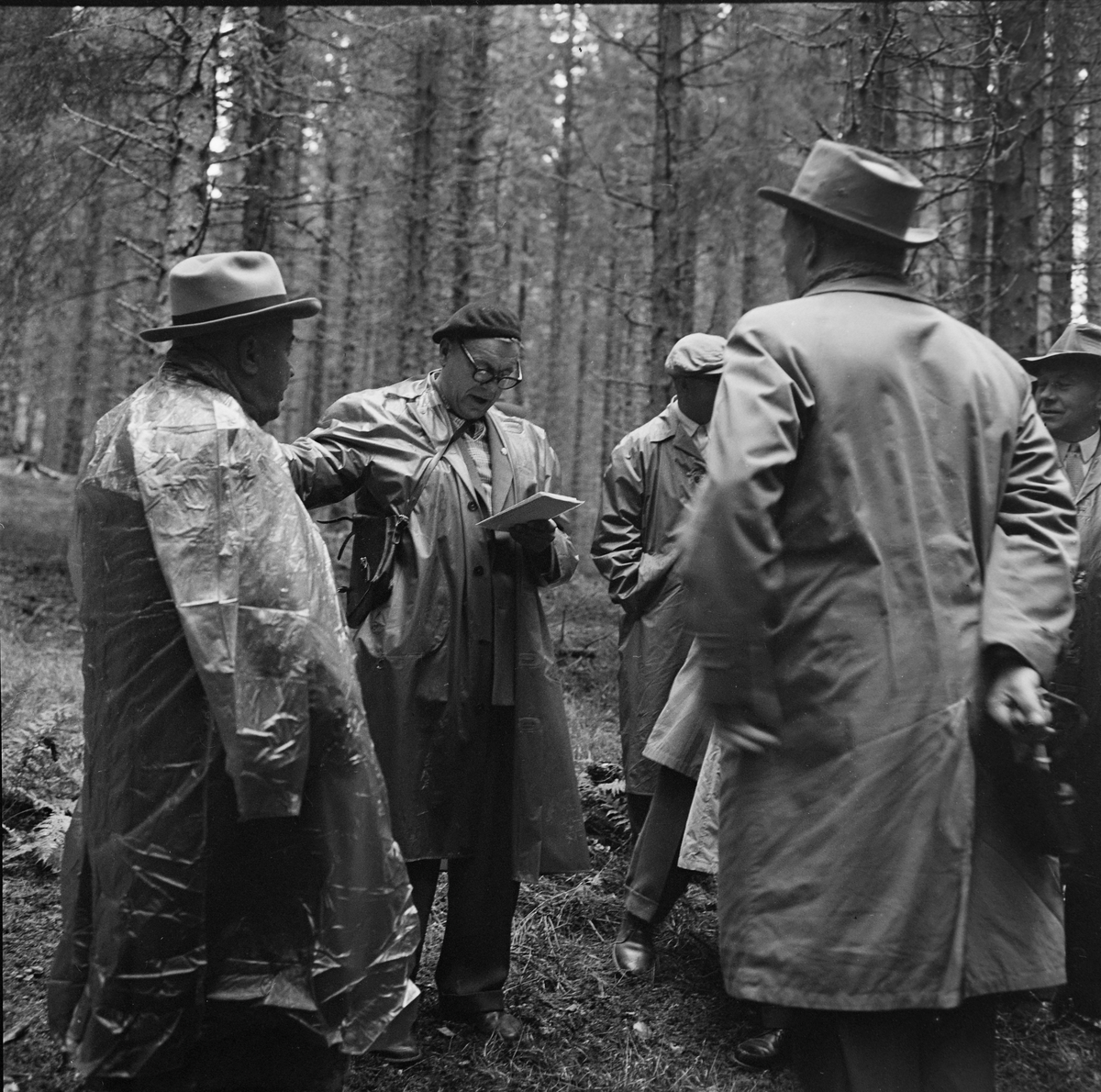 Nordiske skogeiere på befaring i Bymarka