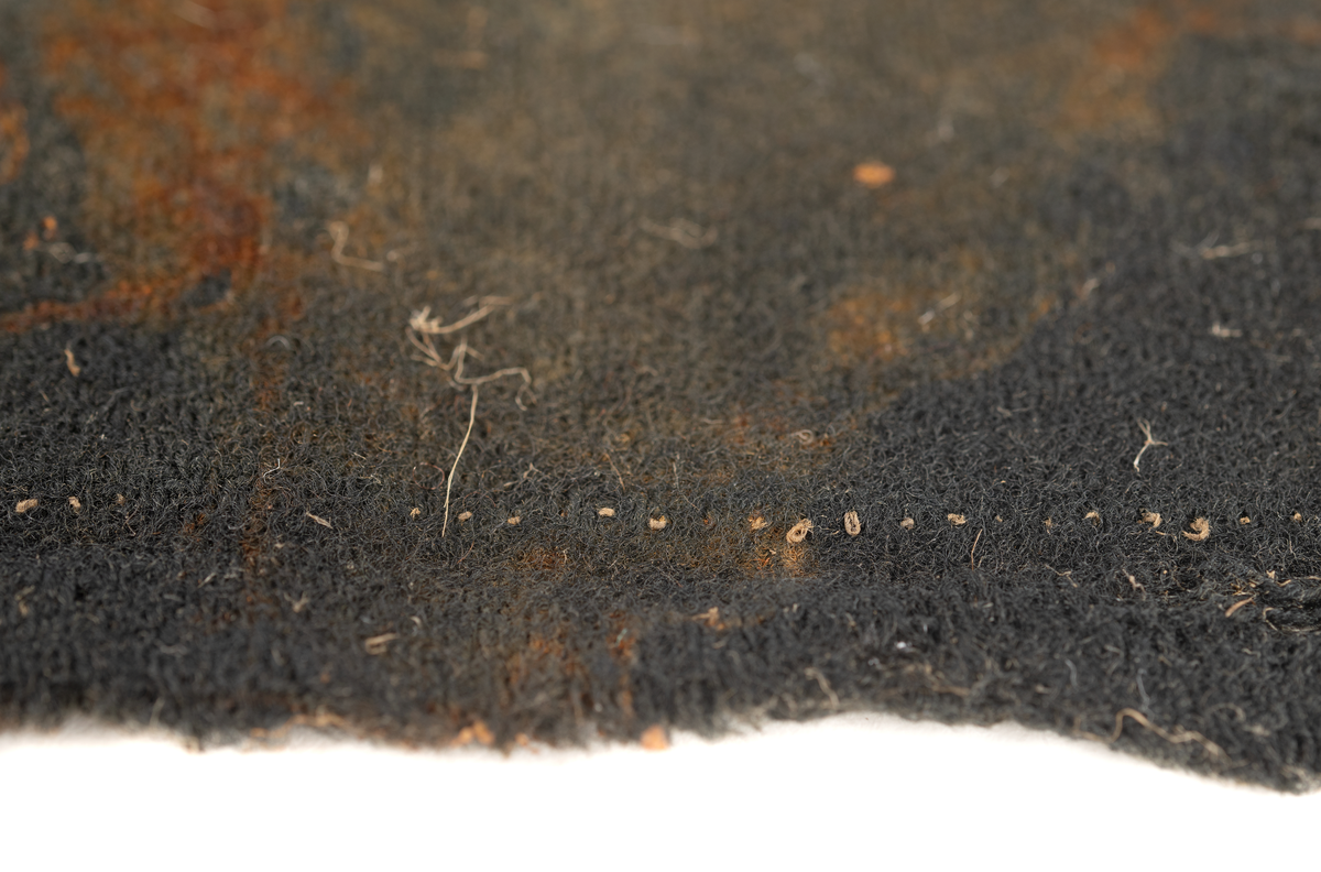 Fyndnummer 17664 innehåller 3 fragment av samma tyg. Fragmenten är tillverkade i en dubbelväv av ull och är idag brun med en stor mängd rostfläckar på. Väven är mycket tät och jämn och liknar inte några andra textilier från Vasa. Två av fragmenten har sömrester som visar att det är sytt med symaskin. Tygets karaktäristik pekar på att det förmodligen är maskinvävt. Symaskinen patenterades och började användas under 1800-talets mitt. Det är därför inte möjligt att det här tyget är från år 1628 då Vasa sjönk utan i själva verket är det mycket yngre. 

För mer detaljerad information från textildokumentationen (år 2022) se länkade filer.