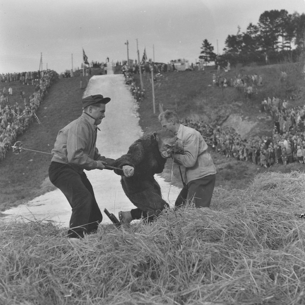 Hopprenn i Duedalen, 17.mai 1954