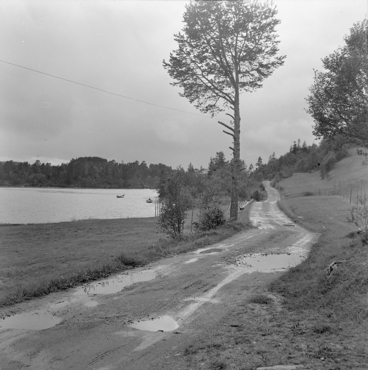 Veianlegg Stadsbygd - Vanvikan