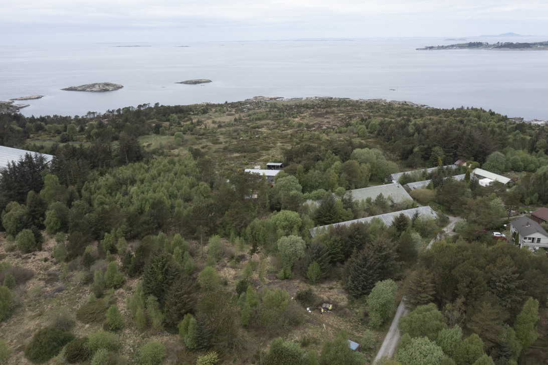 Dronefoto. Utsikt mot innseilingen til Harfsfjord.