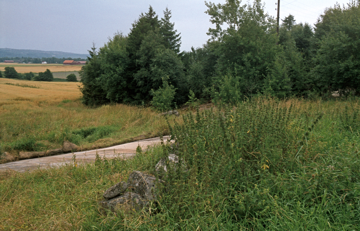 Hällristning Tegneby. Tanum 33:1, L1968:7849