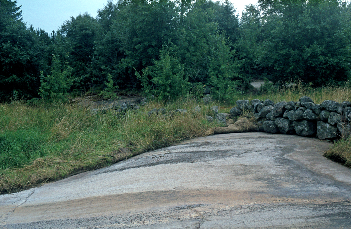 Hällristning Tegneby. Tanum 33:1, L1968:7849