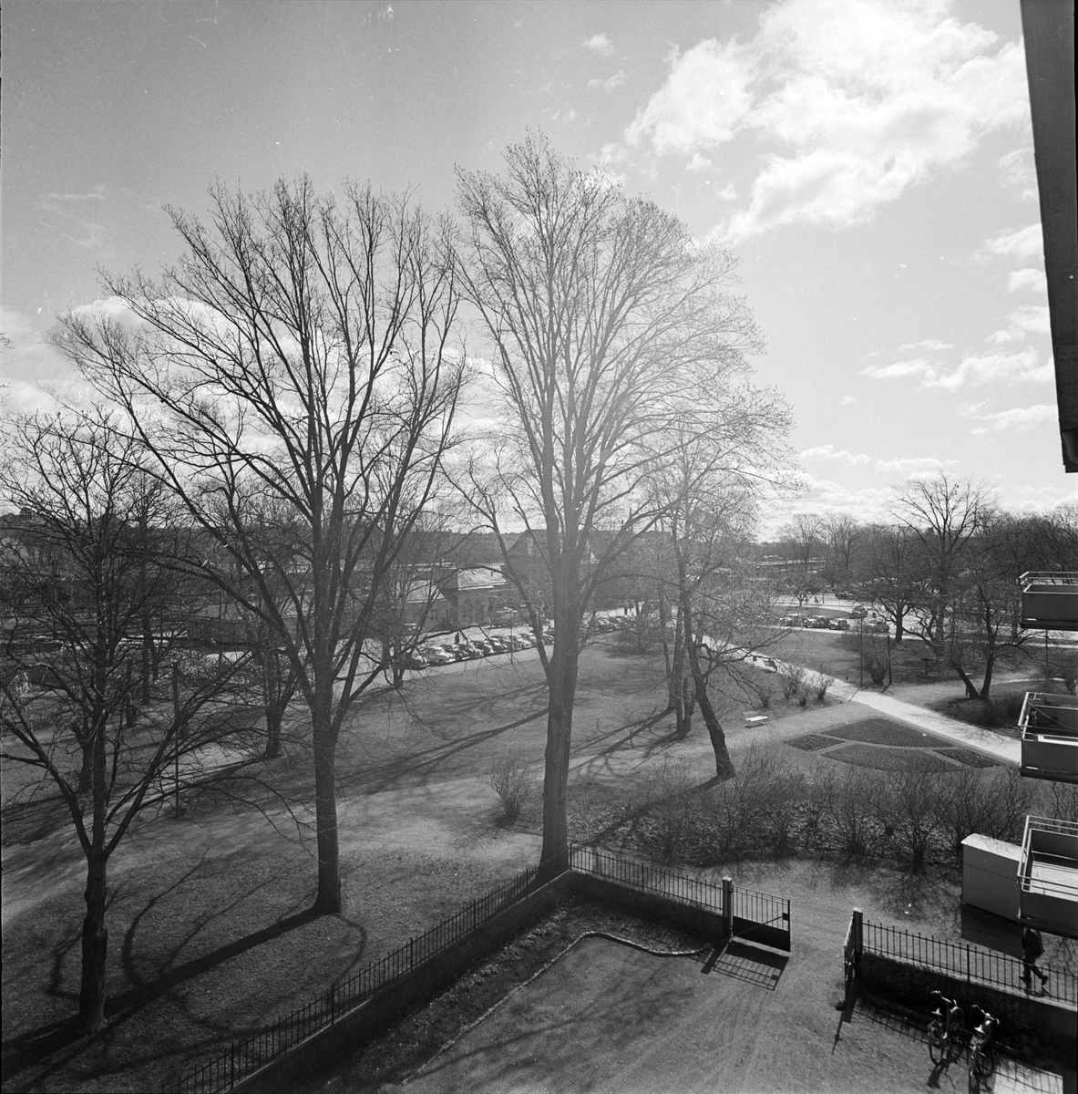 Västra Strandgatan, Uppsala 1956