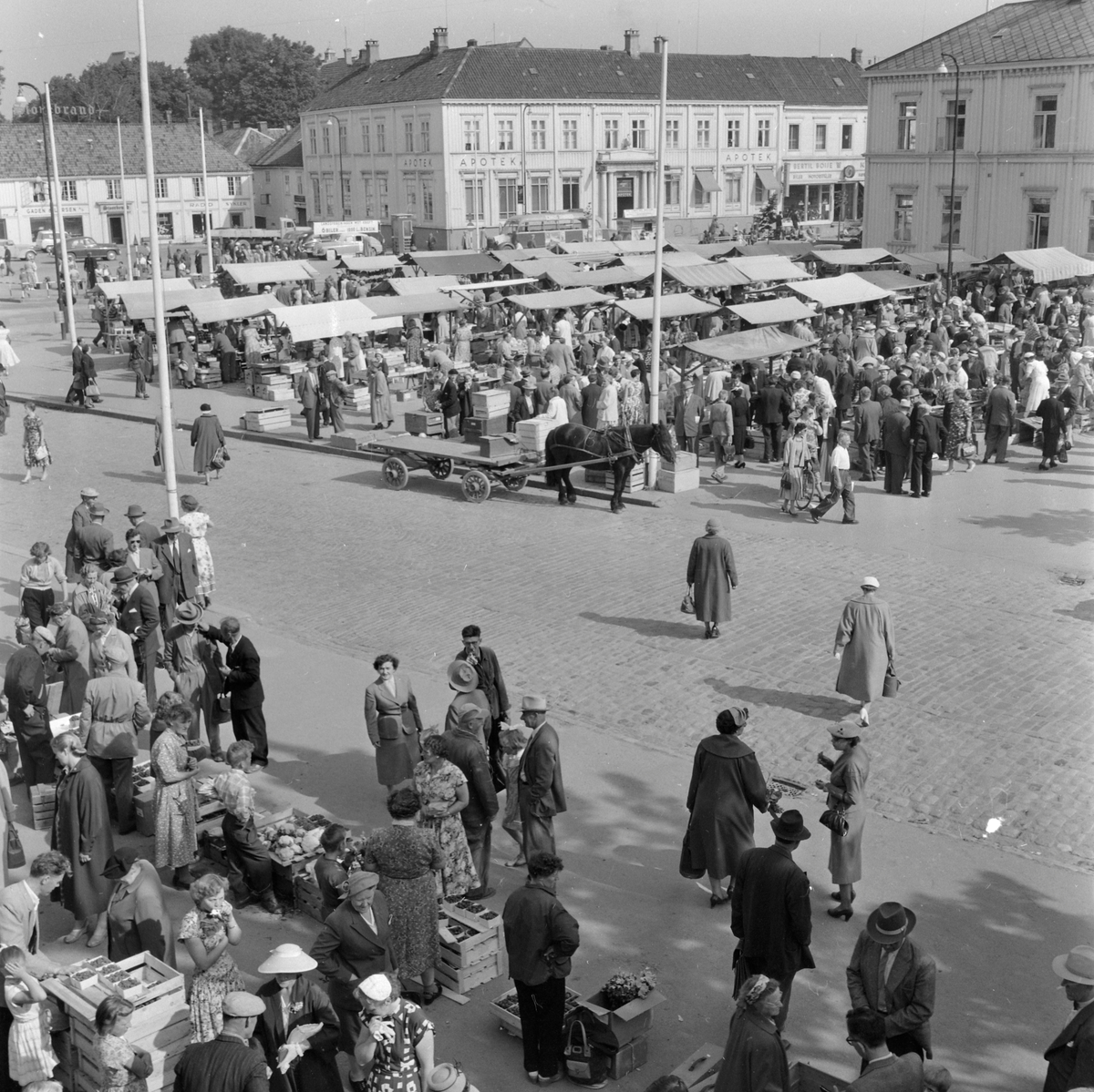 En flom av bær på torvet