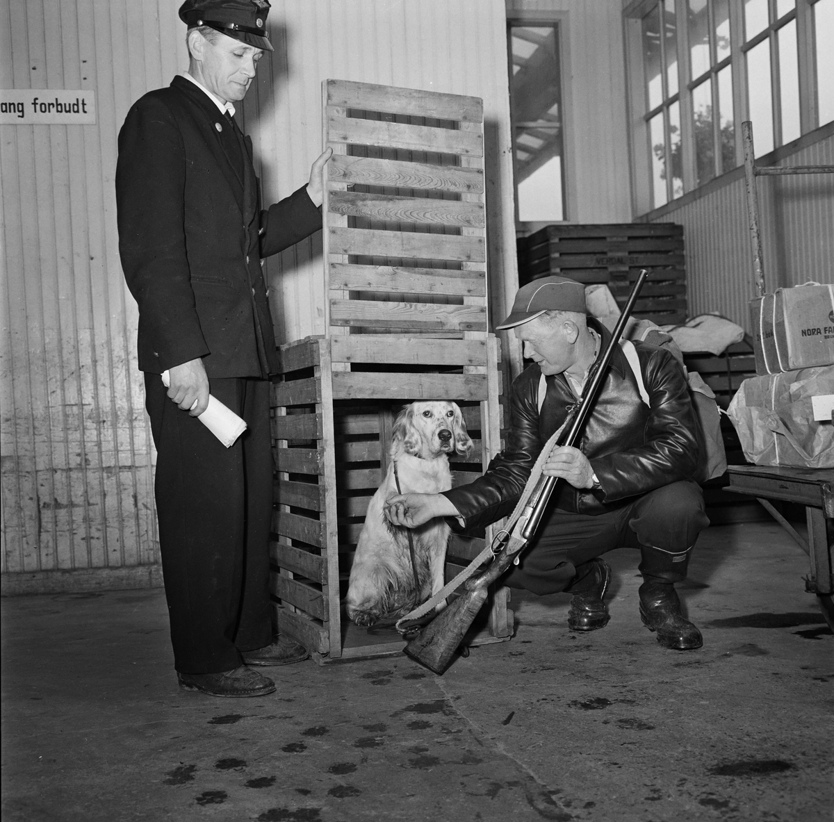 Hund sendes med toget i kasse