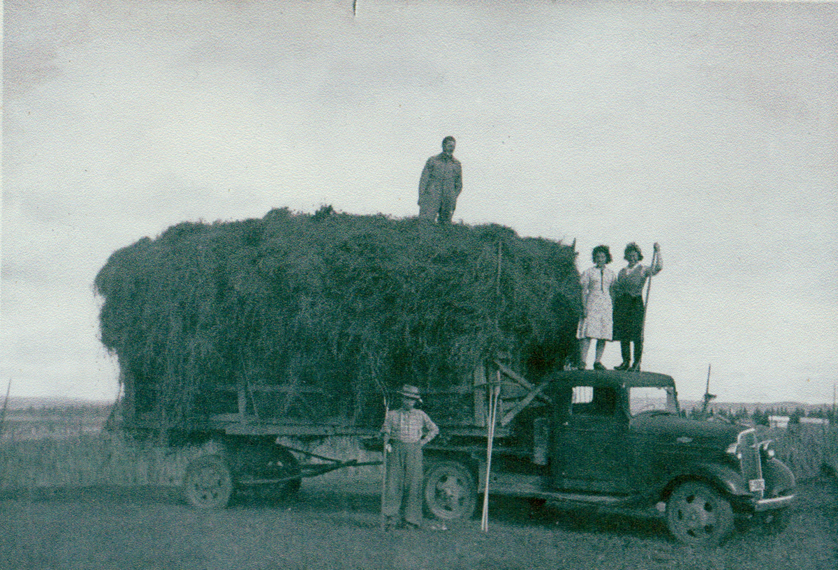 Høykjøring frå Møen.
Frammom bilen står Nils Hoftun, på lasset står Kåre Breili.
Dei andre er ukjente. Lastebilen er ein Chevrolet 1936