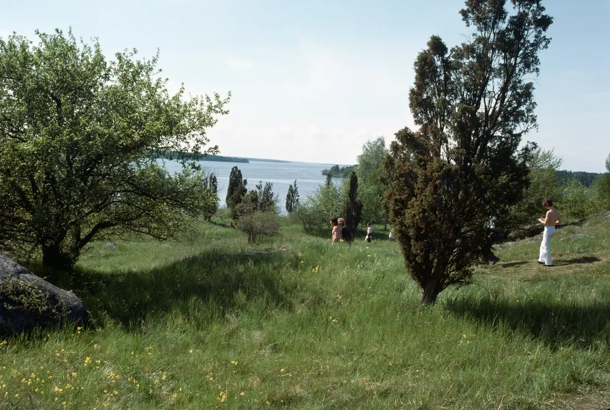 Birka. Björkfjärden Ö om Borg.
