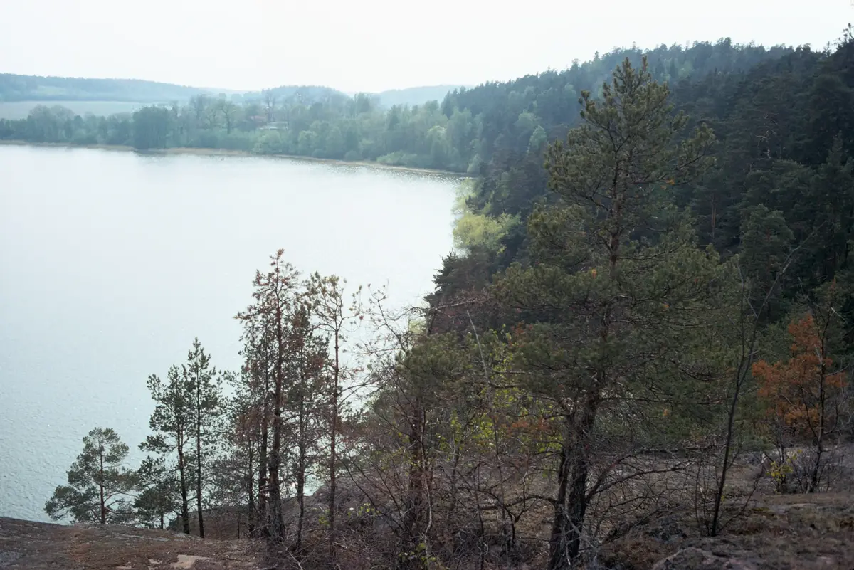 Tullingesjöns S del; från Ö.