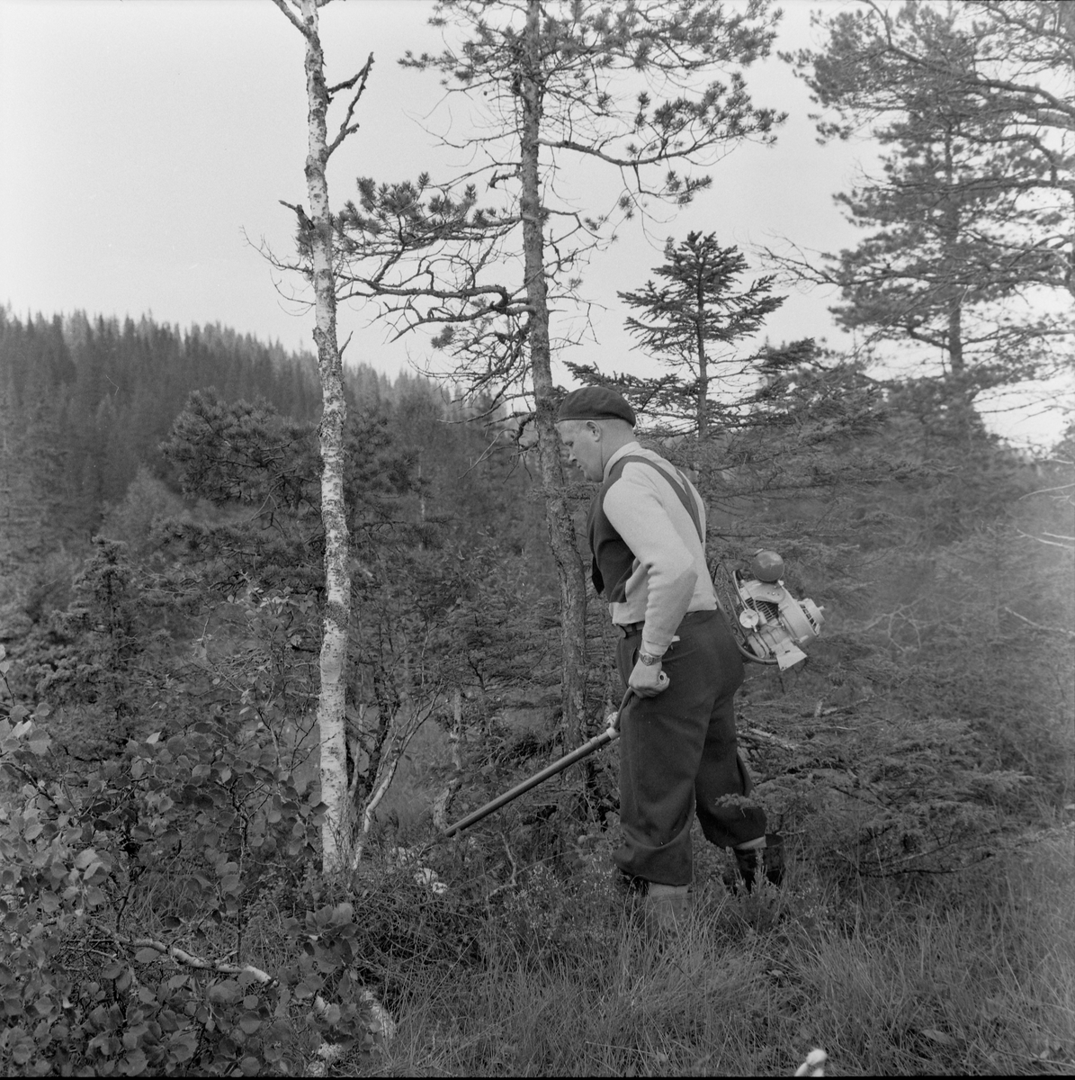 Norsk Landbruksteknisk Forening sin maskindemonstrasjon på Bratsberg