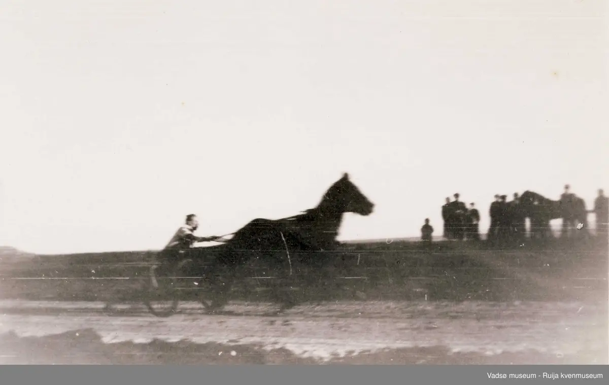 Travløp  på Vadsøya 1940-tallet