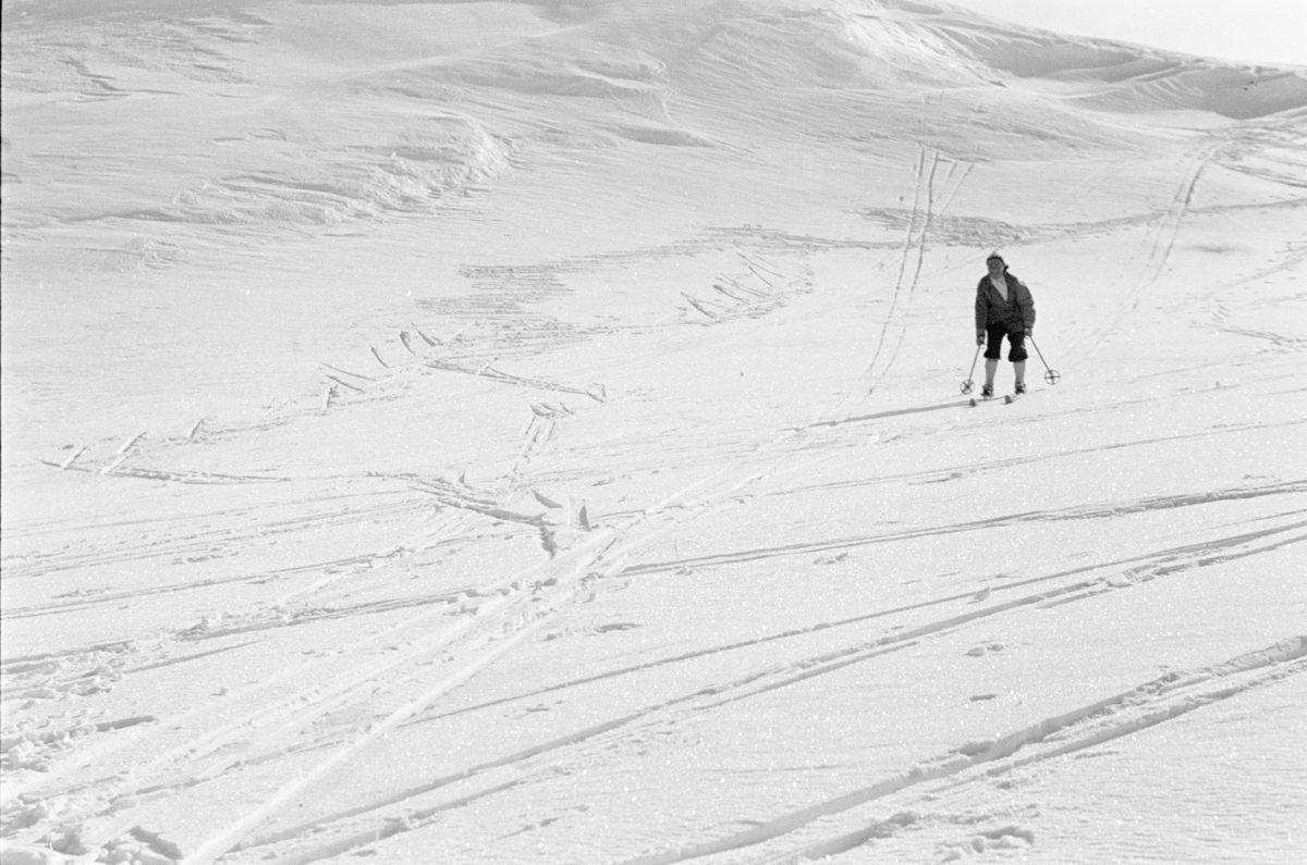 Vinterlandskap og skiløper