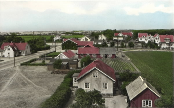 Handkolorerat vykort, "Motiv från Skogstorp, Falkenberg". Vy något från ovan över enfamiljshus med trädgårdar och i mitten vid vägen en gård med odlingar.