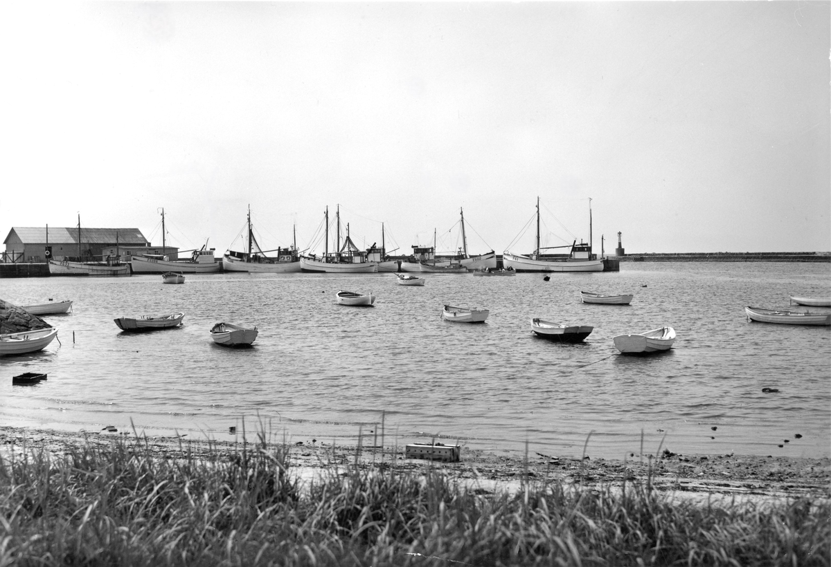 Kolorerat vykort, "Glommens hamn." Fiskebåtar vid kajen och ekor i vattnet närmare strand vid Glommens hamn.