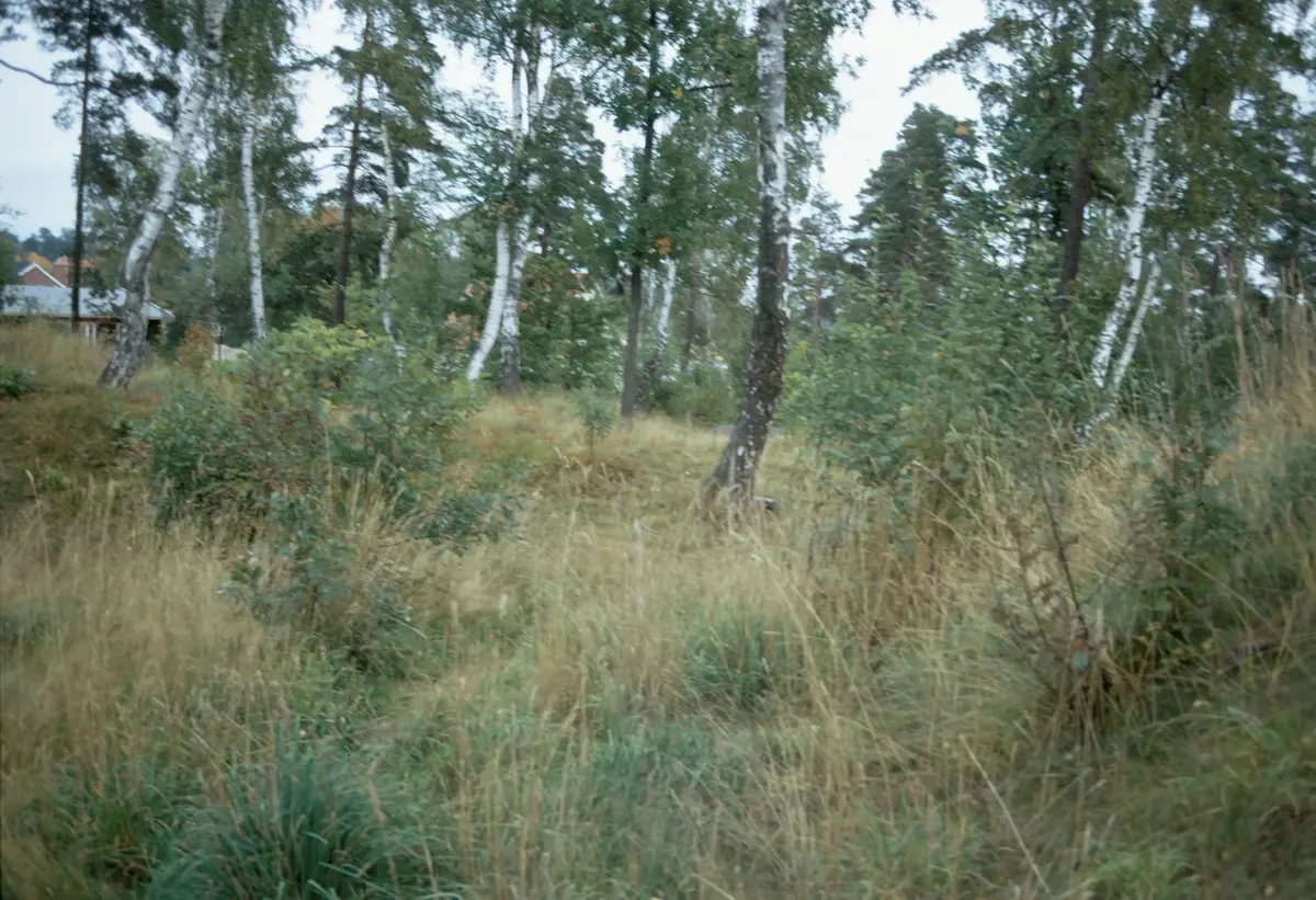 Sundbyberg; Ursviksgravfältet S 195