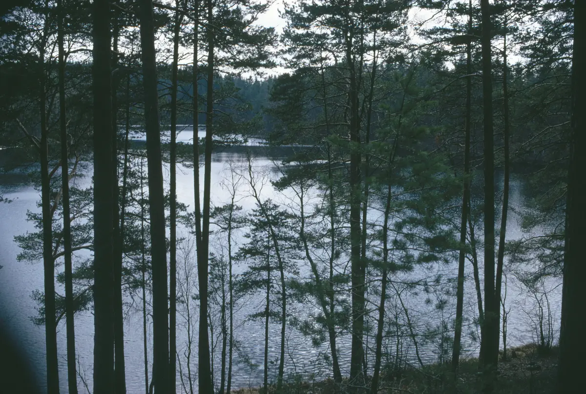 Turinge; Hundsjön från nordväst