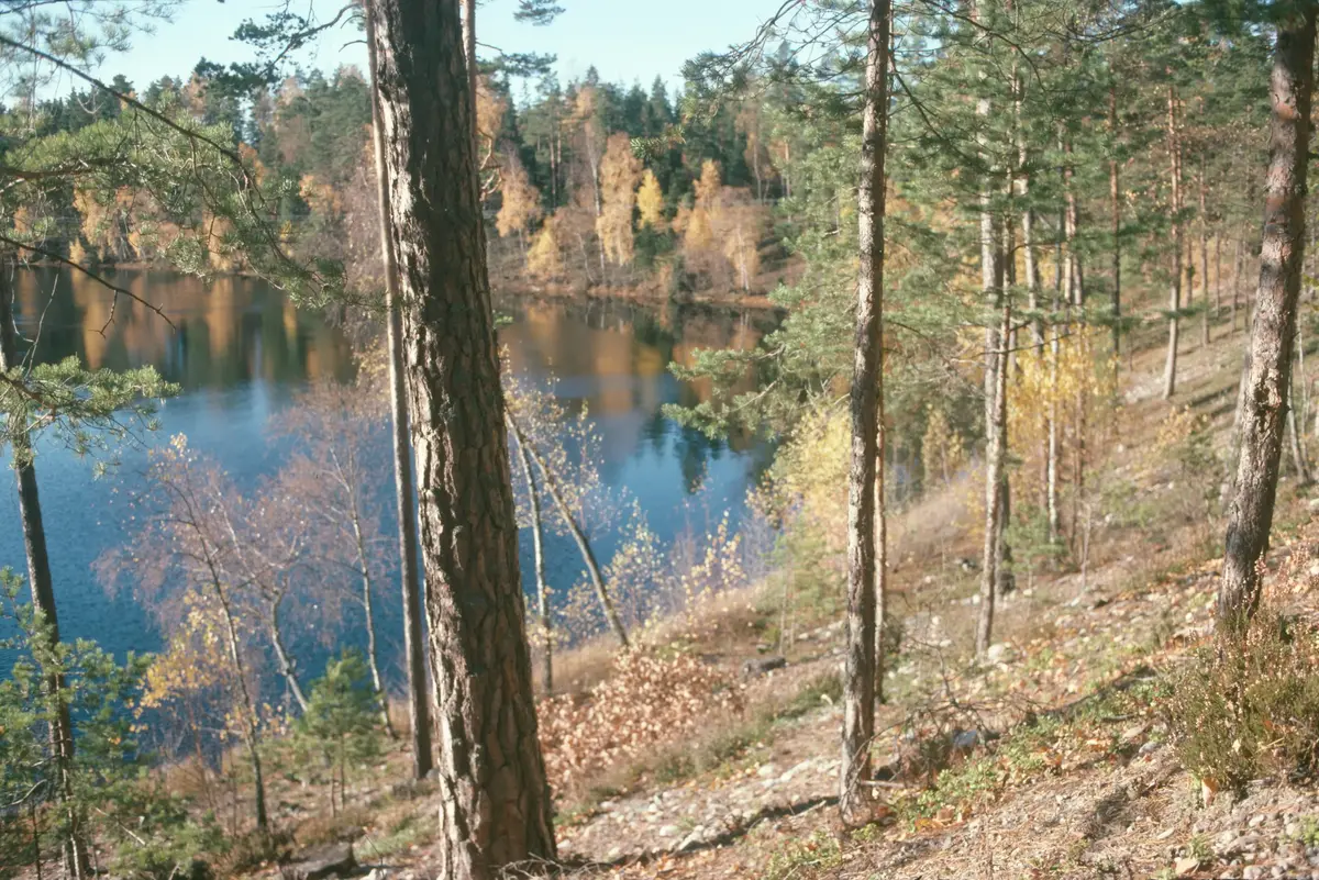 Turinge; Hundsjön från nordost