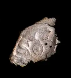 Myntfynden - Getakärrs kyrkoruin