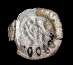 Myntfynden - Getakärrs kyrkoruin