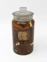 Spritpreparat