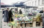 Marknad på Stortorget, Växjö. Till höger syns residenset och mitt fram skymtar man några av byggnaderna längs Kungsgatan.
Färgfoto ca 1960.