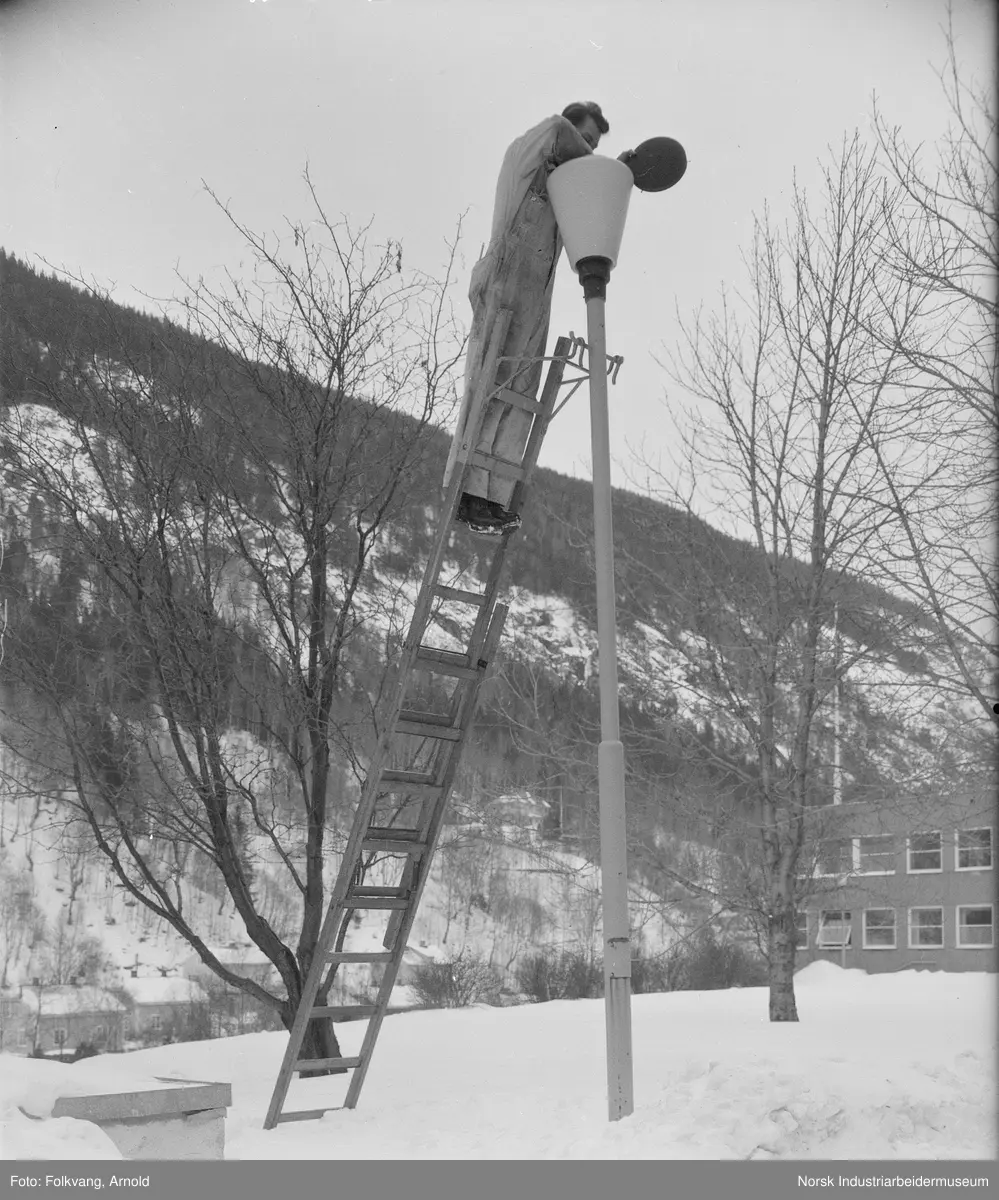 Utskifting av lyspære i lysmast øst for Laboratoriet. Mann stående i stige lent inntil lyktestolpe.