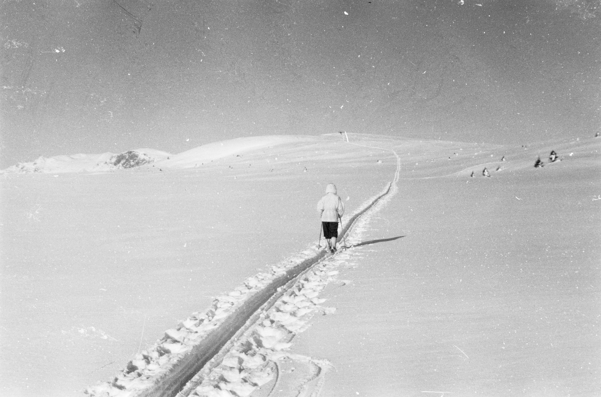 Person i skiløype over fjellvidde