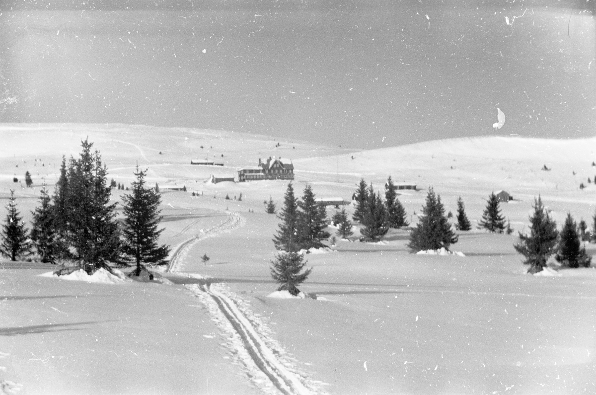 Trær, løyper, bygninger i fjellandskap