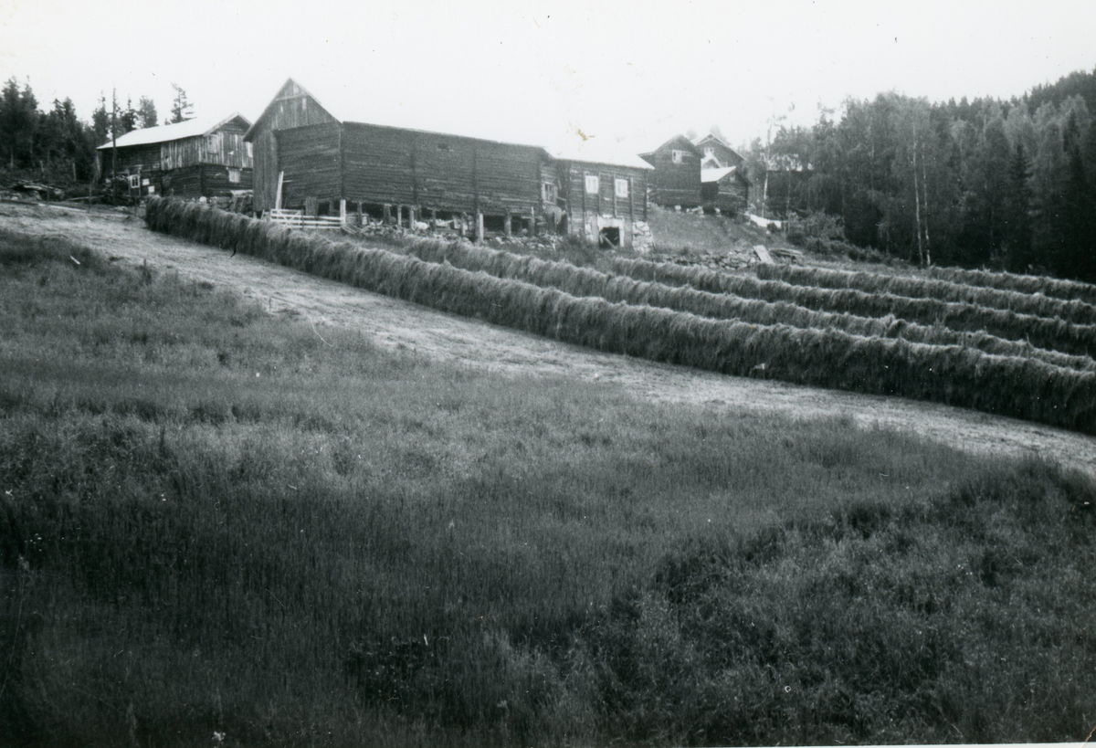 Lange hesjer med høy på Stølsdokken.