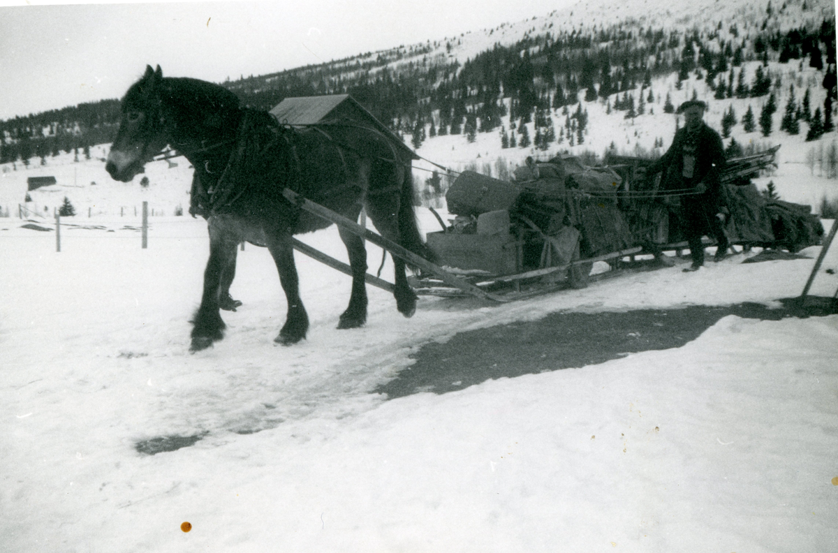 Transport av bagasje til gjester til Guriset Fjellstugu.