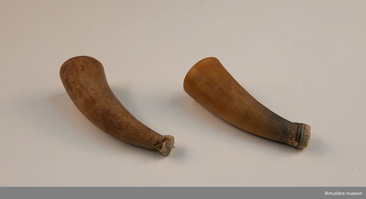 Ur handskrivna katalogen 1957-1958:
Två horn för koppning
a) L. c:a 9,5 cm; av kalv, spetsen avskuren och överbunden m. tunnt skinn, sprucket; f.ö. helt. b) på undersid. ett lock som skyddar ett spegelglas i 2 delar. Defekt.

Lappkatalog: 94