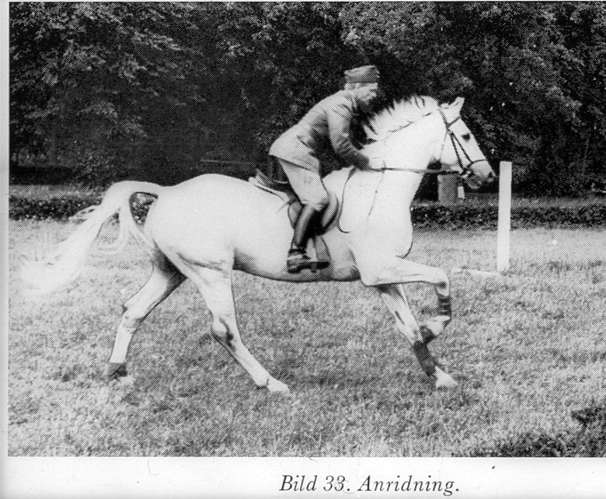 Bildserie till Soldatinstruktion Häst, SoldI Häst från 1963. Nr 34 av 38. Anridning.