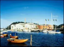 Fotografi av Bohusläns museumm 1984.