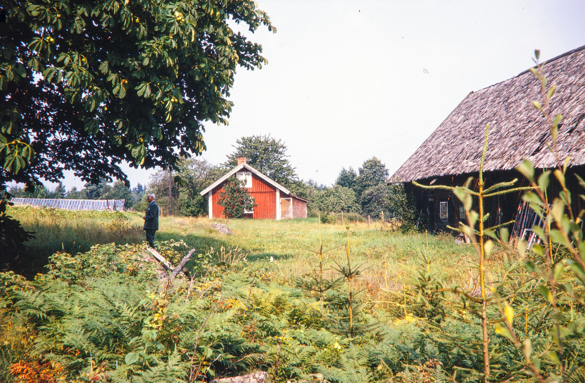 Ett av torpen under Teleborgs slott.