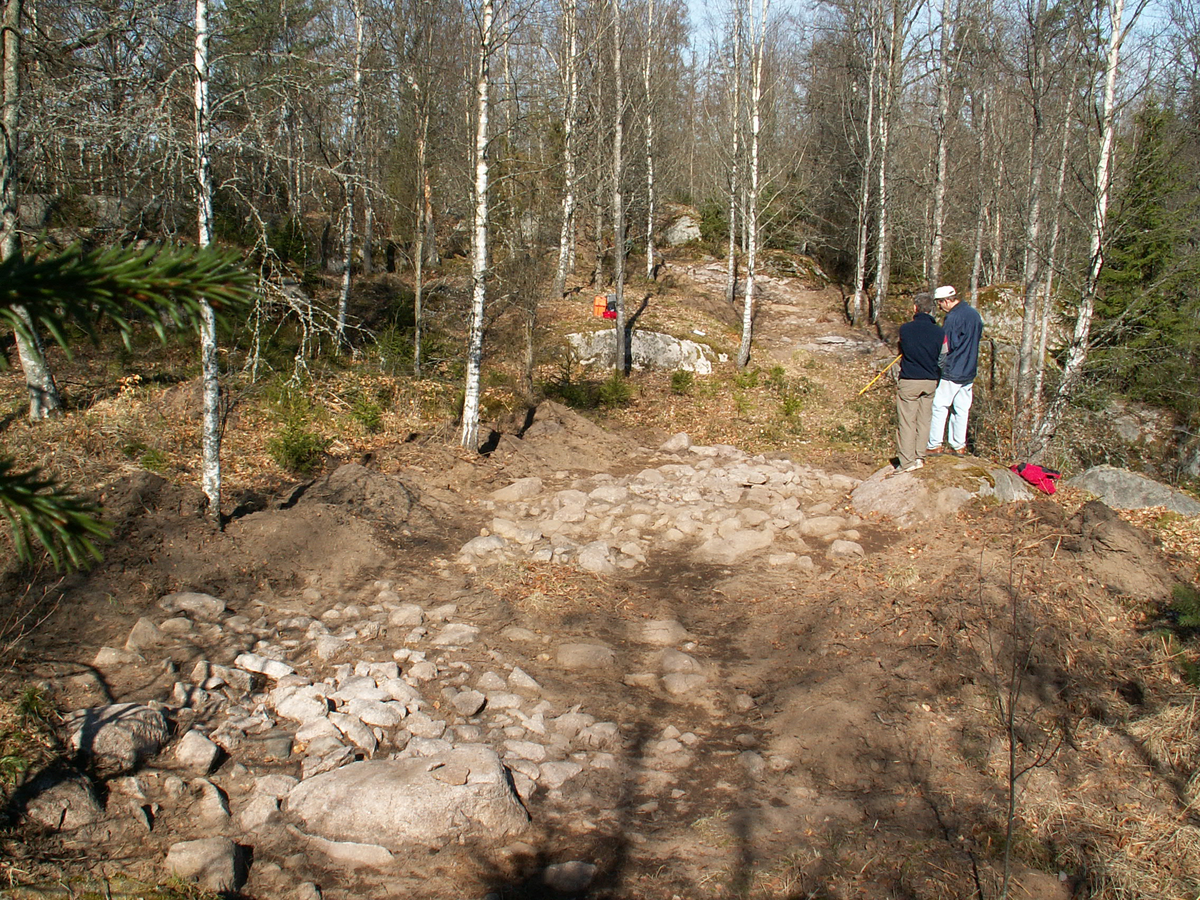 2009 års undersökning av fornborgen Gripeberg resulterade i flera spännande resultat. De stärkte hypoteserna från 2007 års undersökning och framförallt gav resultaten anläggningen en mer komplex karaktär. Undersökningen av den norra muren kunde, trots det begränsade dateringsunderlaget, stärka arbetshypotes att det fanns en tyngdpunkt i anläggandet och utnyttjandet av fornborgen under yngre bronsålder. Den norra och södra muren hade därmed samtida dateringar och uppvisade dessutom en likartad karaktär och uppbyggnad. Resultaten visade också att fornborgens norra del hade en tidigare okänd inre stenskonstruktion, som gav intryck av att kunna innehålla gravar. Direkt under den norra muren framkom ett deponerat fynd. Det utgjordes av ett medvetet slaget bergartsfragment med slipade och prickhuggna ytor. Resultaten visade även att murverket möjligen inte haft någon ingång. Det stärkte, tillsammans med dateringen och framkomsten av den inre stenpackningen, hypotesen om fornborgen som en möjlig gravhägnad eller vallanläggning.
Anledning till undersökning
Forskning
Max. höjd över havet
190.0
Min. höjd över havet
180.0