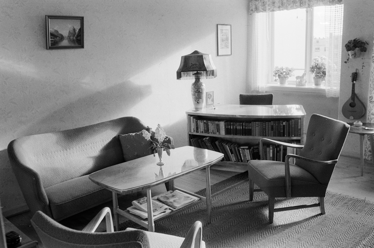 Rom med sofa stoler bokhylle lampe