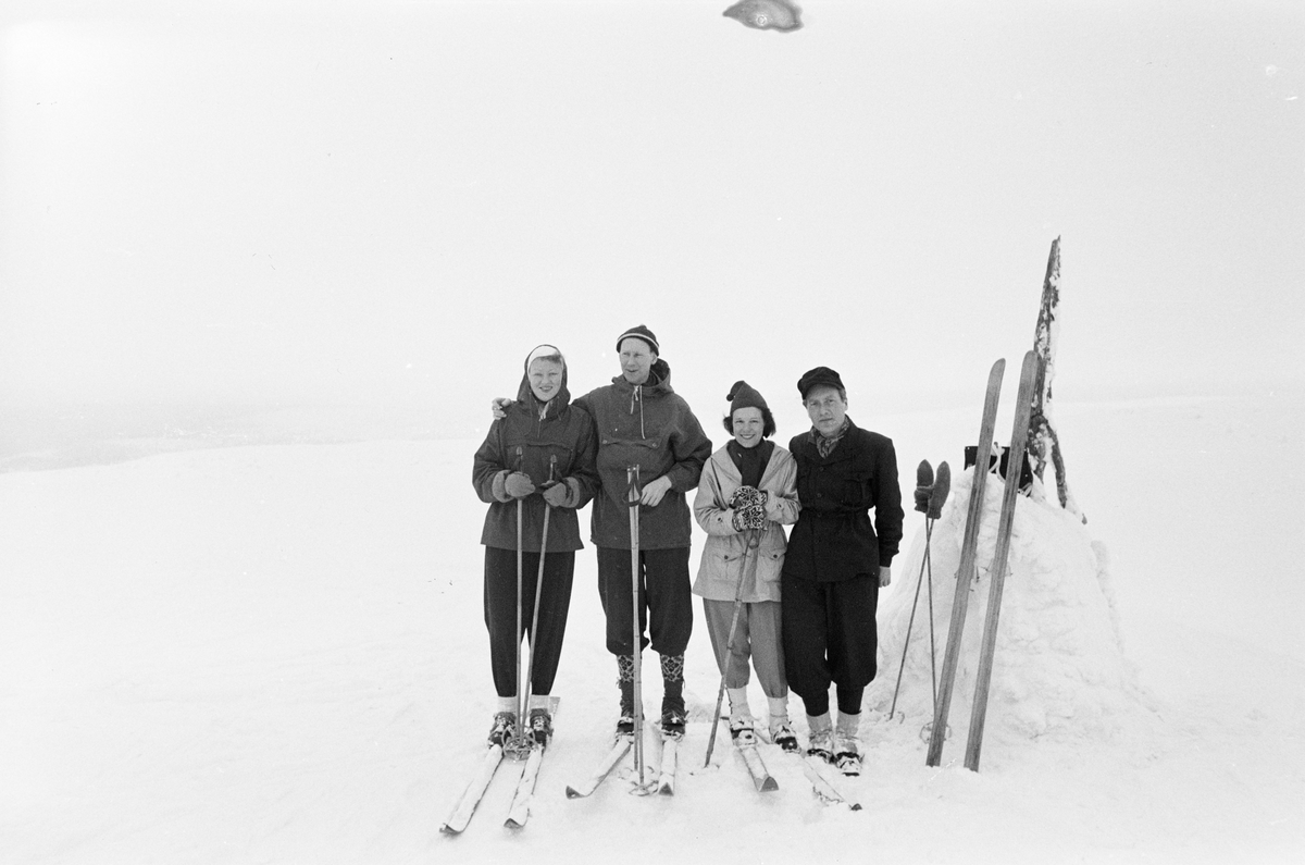 Gruppe på ski i vinterlandskap