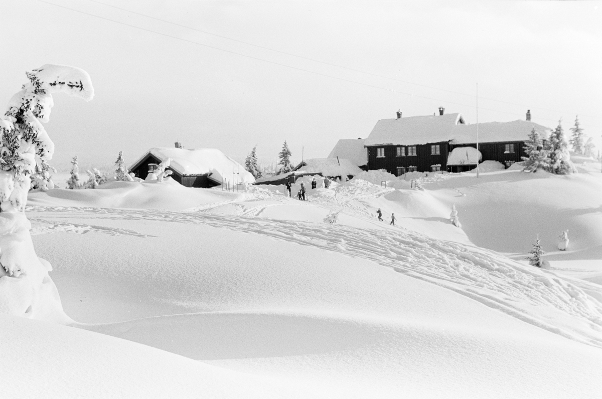 Hytte i sol og vinterlandskap