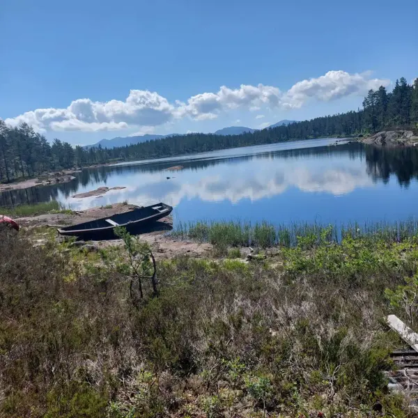 Sleikebekkdammen ved Kongsberg i sommersol med en robåt i forgrunnen