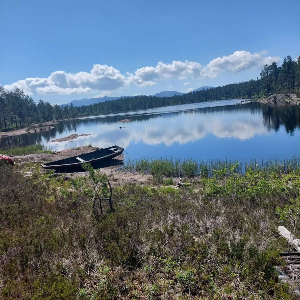 Sleikebekkdammen ved Kongsberg i sommersol med en robåt i forgrunnen