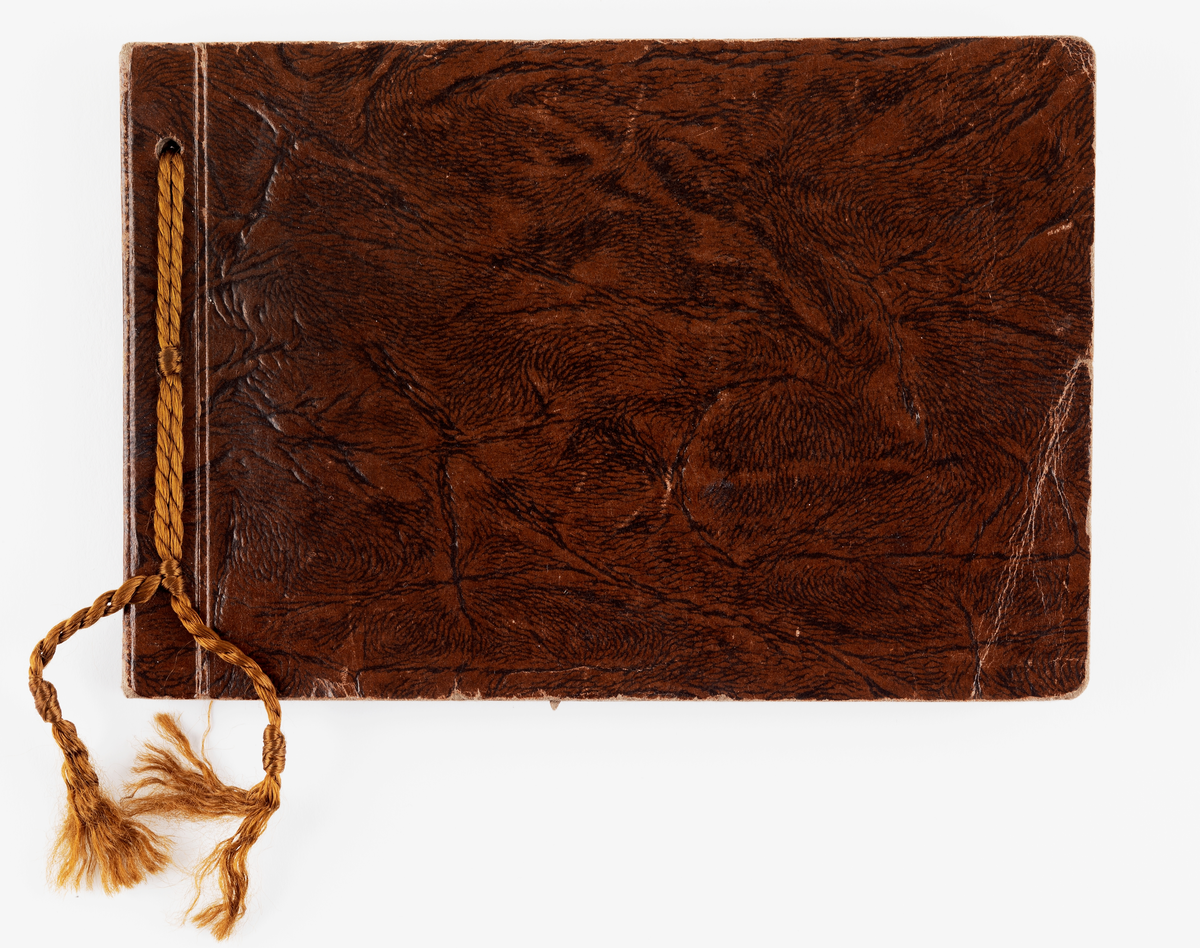 Brunt album med kartongsidor och pärmar. Varje sida har plats för 8 bilder (2,5 cm x 5 cm stora). På bilderna skådespelare, män och kvinnor. Totalt 128 bilder, alla sidor fyllda. Genom ena kortsidan trätt ett brunt tvinnat silkessnöre med en toffs nedtil.