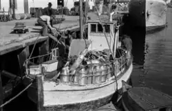 "Våren 1952"."Mjølkelast i Kristiansund"