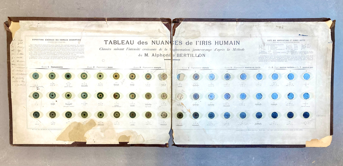 Trykket fargeplansje med iriser i seks klasser. Tekst på fransk. Norsk ordforklaring skrevet med håndskrift i margen.
