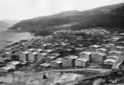 Sagbruket Pasvik Timber, Jakobsnes 1930.