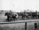 Hastigt ögonblick från 1906 års allmänna svenska lantbruksmötet i Norrköping. Något för snabbt för kameran visar soldater ur Smålands artilleriregemente ett imponerande spann. Vad man drog lämnar oss ovetande men sannolikt en artilleripjäs.